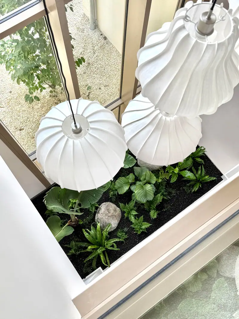 Agence Lacoste, paysagiste DPLG concepteur à Bordeaux, jardin moderne design terrasse entretien