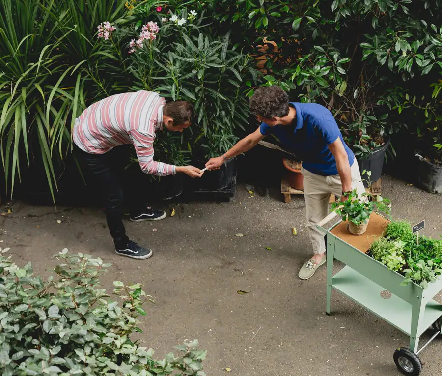 Agence Lacoste, une agence d'architecture paysagère créative et engagée à Bordeaux