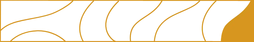 Fond jaune graphique, agence Lacoste paysagiste à Bordeaux