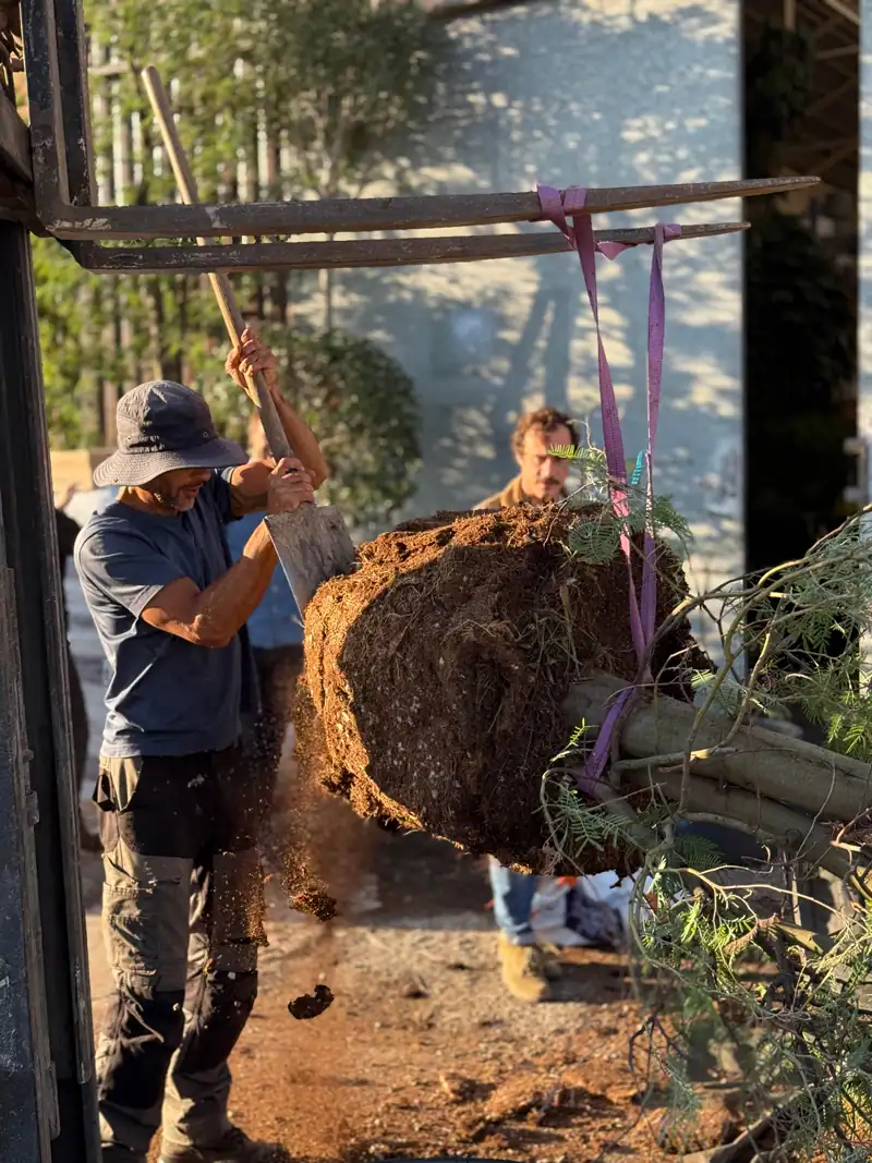 Le metier chef de chantier de l'agence Lacoste, paysagiste DPLG concepteur à Bordeaux