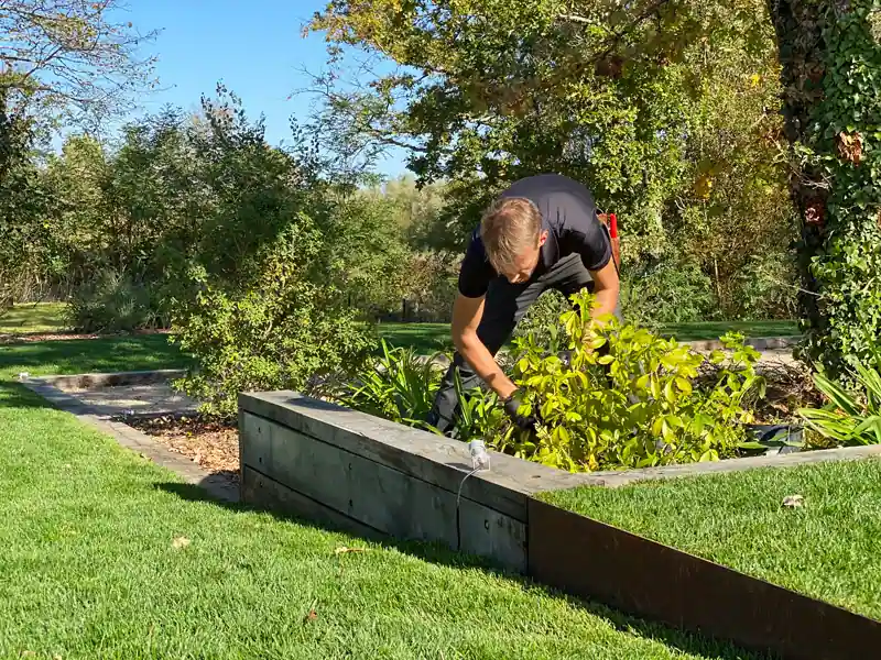 Services entretien de l'agence Lacoste, paysagiste DPLG concepteur à Bordeaux